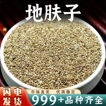 地肤子中药材批发地夫子地肤子安国中药材新鲜干货