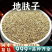地肤子中药材批发地夫子地肤子安国中药材新鲜干货