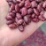 精品芸豆，大量新鲜现货速发，保质保量欢迎选购