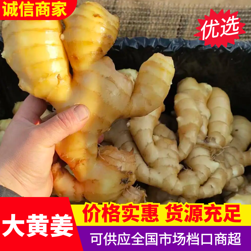 【实力商家】河北衡水生姜物美价廉大量供应货源充足