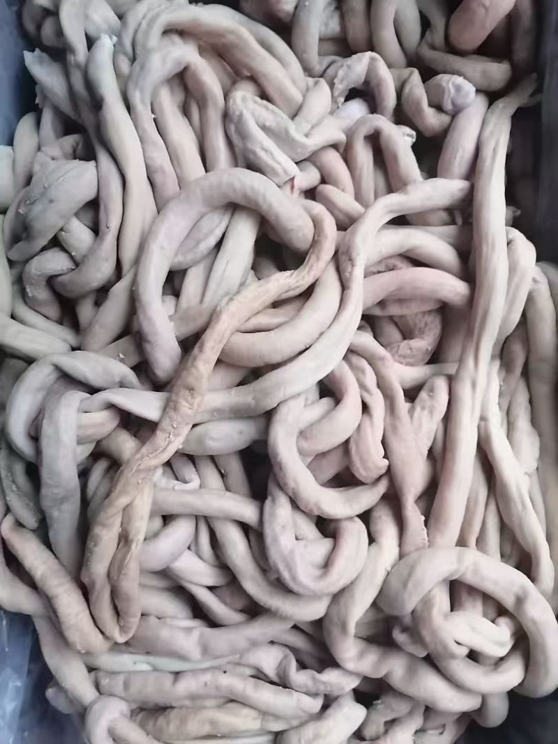 【热卖】牛小肠圆肠牛副产品品质保障欢迎电联