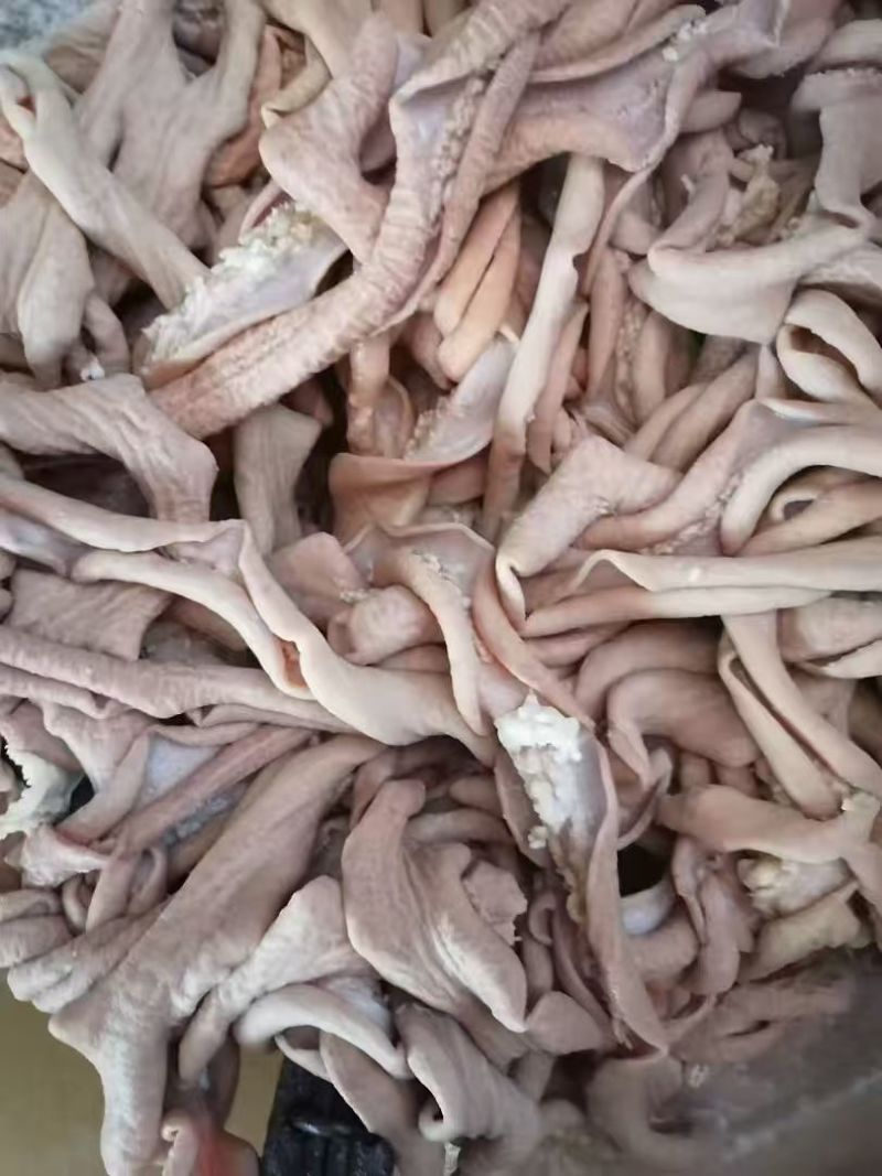 【热卖】牛小肠圆肠牛副产品品质保障欢迎电联