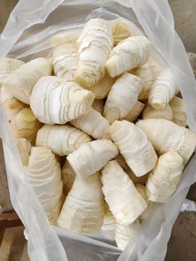 新鲜深山冬笋精品黄泥冬笋对接电商市场商超可视频