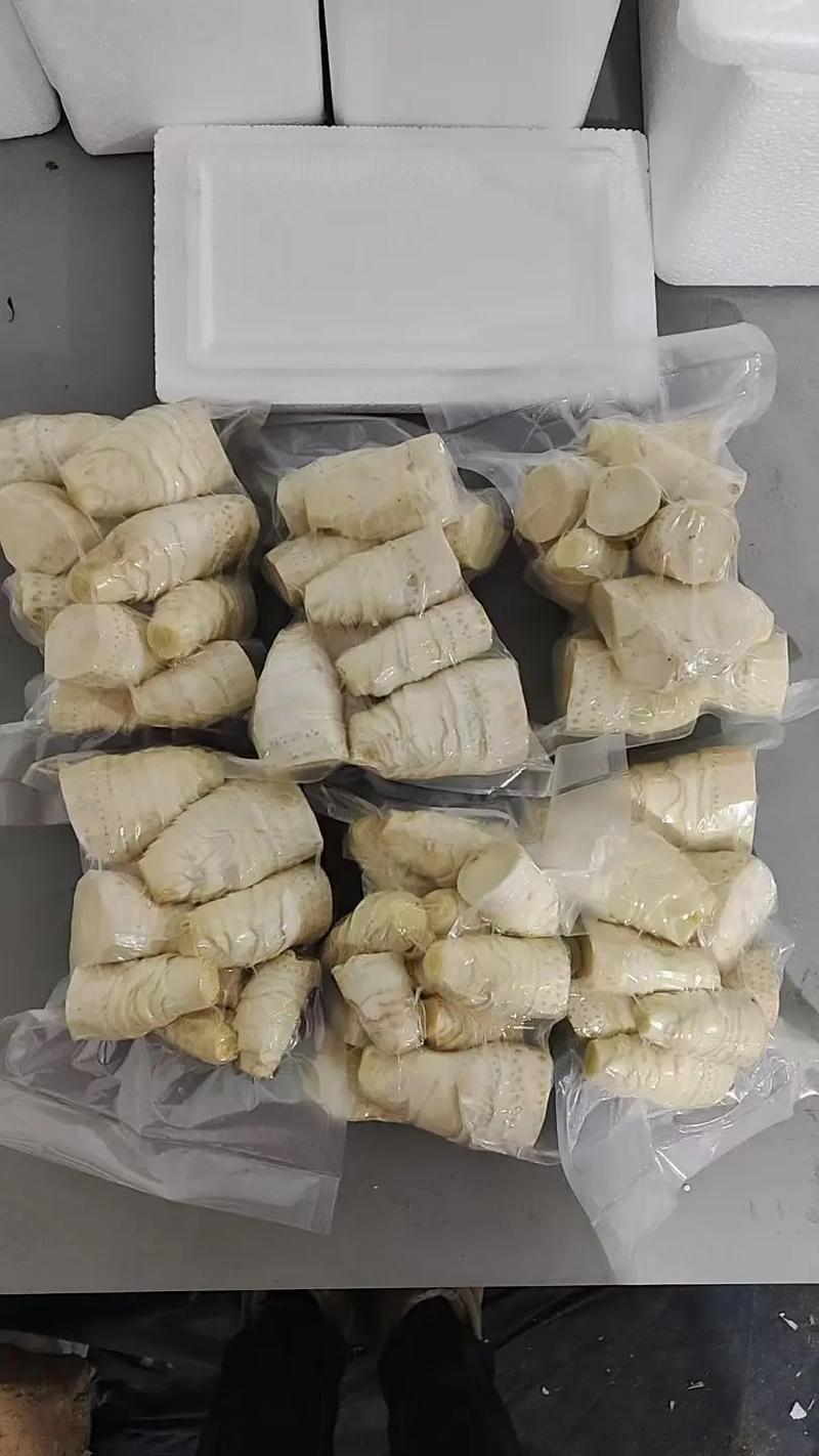 新鲜深山冬笋精品黄泥冬笋对接电商市场商超可视频