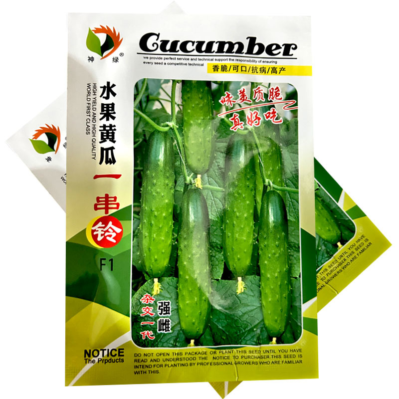 水果黄瓜一串铃强雌早熟旱黄瓜种浅绿色肉质脆大田