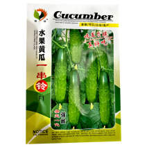 水果黄瓜一串铃强雌早熟旱黄瓜种浅绿色肉质脆大田