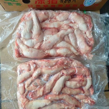 肥猪花肠头20斤