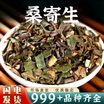 批发桑寄生安中药材批发桑寄生茶寄生非槲寄生解寄生新货