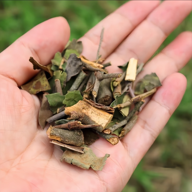 批发桑寄生安中药材批发桑寄生茶寄生非槲寄生解寄生新货