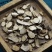 批发石菖蒲中药材安国中药材批发石菖蒲新鲜草药干货正品