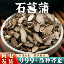 批发石菖蒲中药材安国中药材批发石菖蒲新鲜草药干货正品