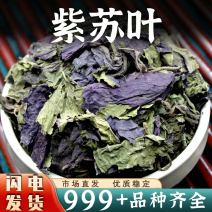紫苏叶中药材泡水苏子叶安国中药材批发海鲜去腥香料
