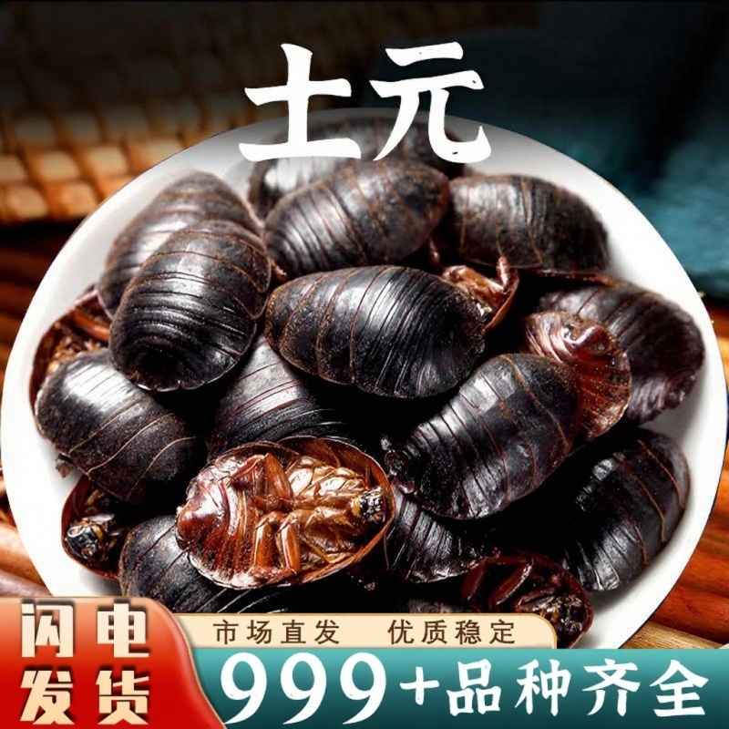 中药材土鳖虫土元中华土鳖安国中药材批发
