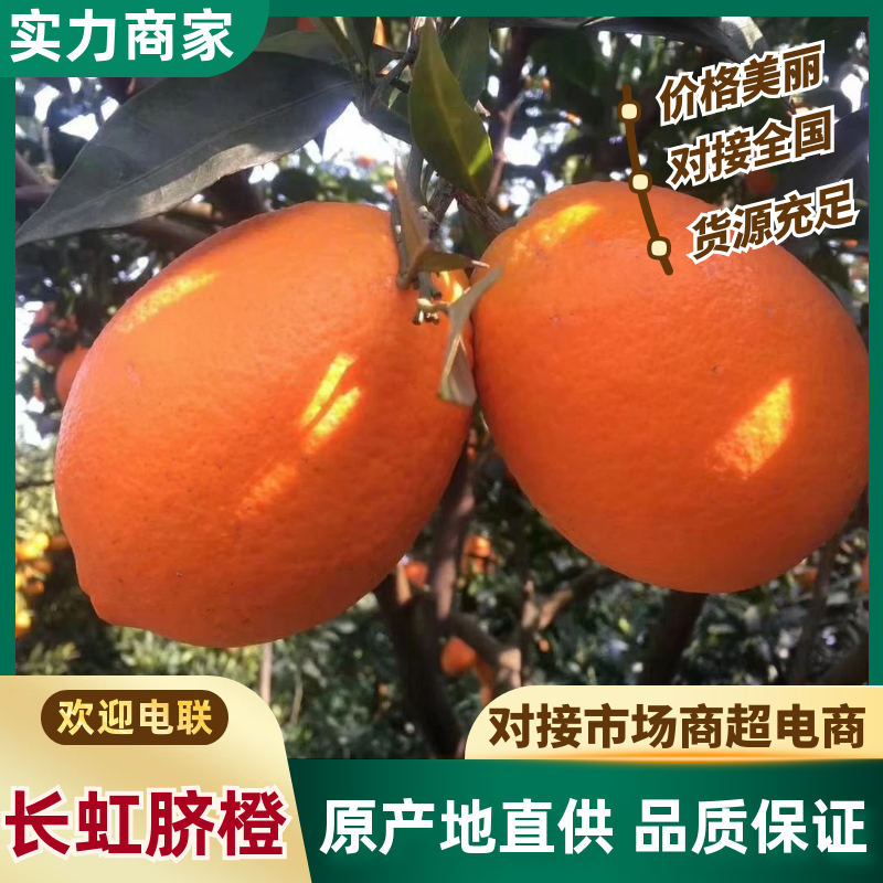 【推荐】长虹脐橙湖北秭归橙子产地一手货源按需包装