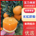 【热卖】长虹脐橙湖北橙子秭归长虹脐橙对接全国