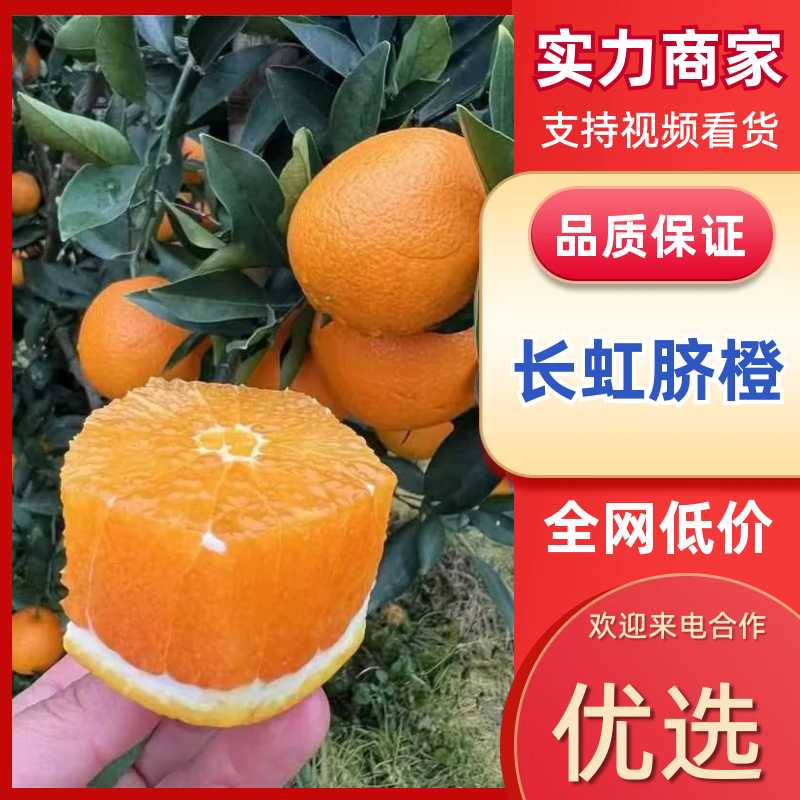 【热卖】长虹脐橙湖北橙子秭归长虹脐橙对接全国