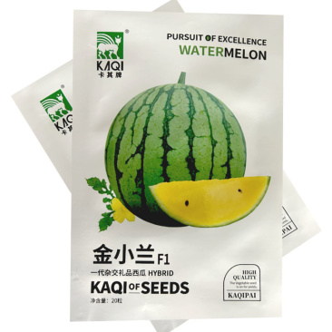 金小帅西瓜种子糖度高花皮黄肉小礼品西瓜大田基地种