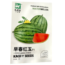 早熟红玉礼品西瓜种子早熟杂交红瓤脆甜多汁薄皮西瓜