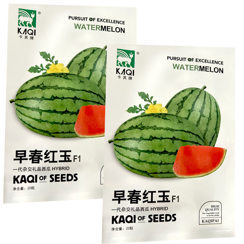 早熟红玉礼品西瓜种子早熟杂交红瓤脆甜多汁薄皮西瓜