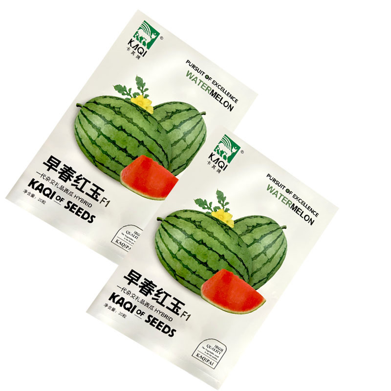 早熟红玉礼品西瓜种子早熟杂交红瓤脆甜多汁薄皮西瓜