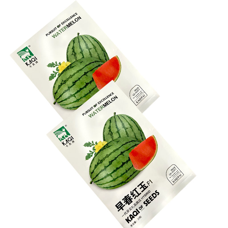 早熟红玉礼品西瓜种子早熟杂交红瓤脆甜多汁薄皮西瓜