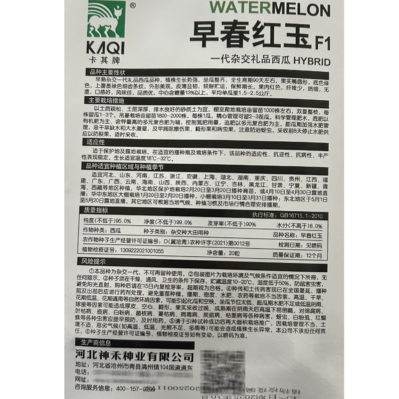 早熟红玉礼品西瓜种子早熟杂交红瓤脆甜多汁薄皮西瓜