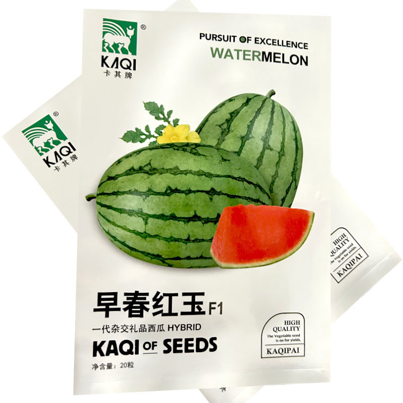 早熟红玉礼品西瓜种子早熟杂交红瓤脆甜多汁薄皮西瓜