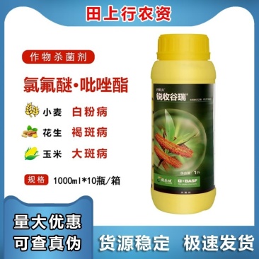 巴斯夫锐收谷瑞24%吡唑醚菌酯氯氟醚菌唑白粉病大斑褐斑病