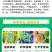 巴斯夫卫庄精甲霜灵咯菌腈种衣剂拌种剂玉米茎基腐病杀菌剂