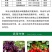 德国巴斯夫翠泽300克/升醚菌·啶酰菌白粉病穗轴褐枯病