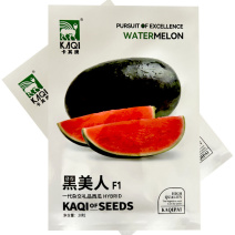 黑美人西瓜种子超甜大果礼品西瓜籽皮薄糖度高基地品种