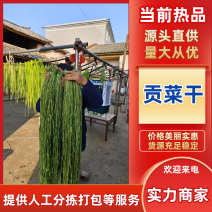 【精选贡菜干】云南贡菜干保质保量对接餐饮火锅店市场