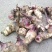 芭蕉芋大量有货现挖现发品质优可视频看货欢迎咨询来电