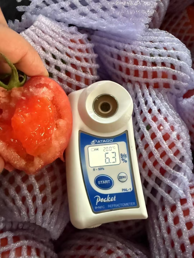 精品普罗旺斯水果西红柿一件代发包邮坏果包赔欢迎下单订购