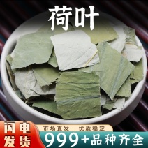 荷叶中药材批发新鲜荷叶片荷叶干荷叶粒安国中药材批发