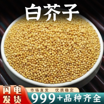 白芥子中药材批发安国中药材白芥子