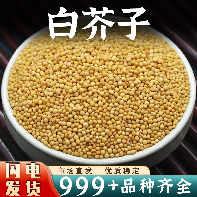 白芥子中药材批发安国中药材白芥子