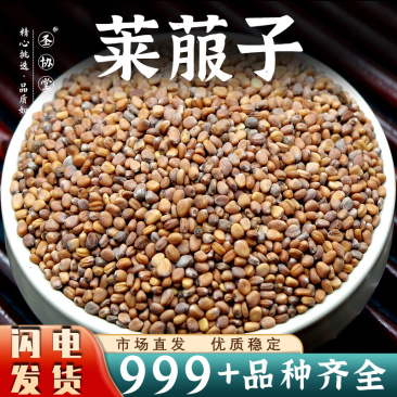莱菔子中药材批发莱菔子莱服子安国中药材非炒莱菔子