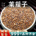莱菔子中药材批发莱菔子莱服子安国中药材非炒莱菔子