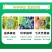 巴斯夫成标80%硫磺柑橘疮痂病西瓜黄瓜白粉病桃树褐斑农药