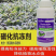 植物抗寒防冻剂抗低温冻害氨基酸叶面肥