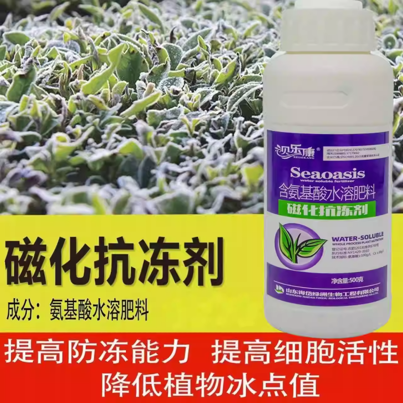 植物抗寒防冻剂抗低温冻害氨基酸叶面肥