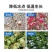 植物抗寒防冻剂抗低温冻害氨基酸叶面肥