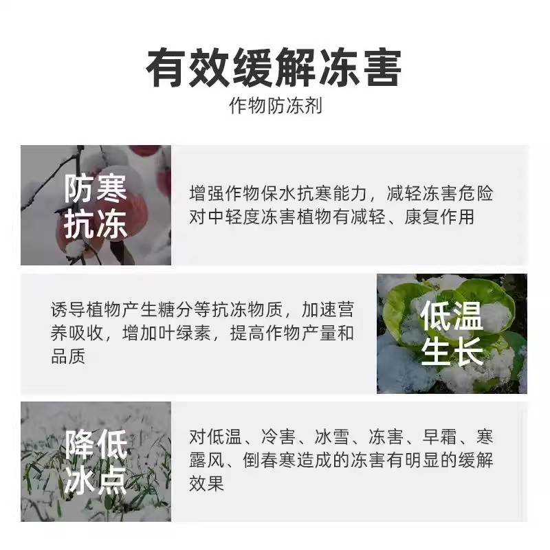植物抗寒防冻剂抗低温冻害氨基酸叶面肥