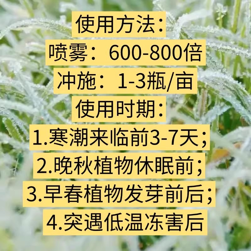 植物抗寒防冻剂抗低温冻害氨基酸叶面肥