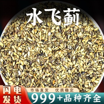 水飞蓟中药材批发水飞蓟子鹦鹉籽安国中药材新鲜干货