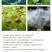 德国拜耳亩旺特螺虫乙酯多肉介壳虫白粉虱农药杀虫剂10