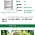 拜耳哈速腾农用助剂展着剂有机硅助剂可与一般农药混用15