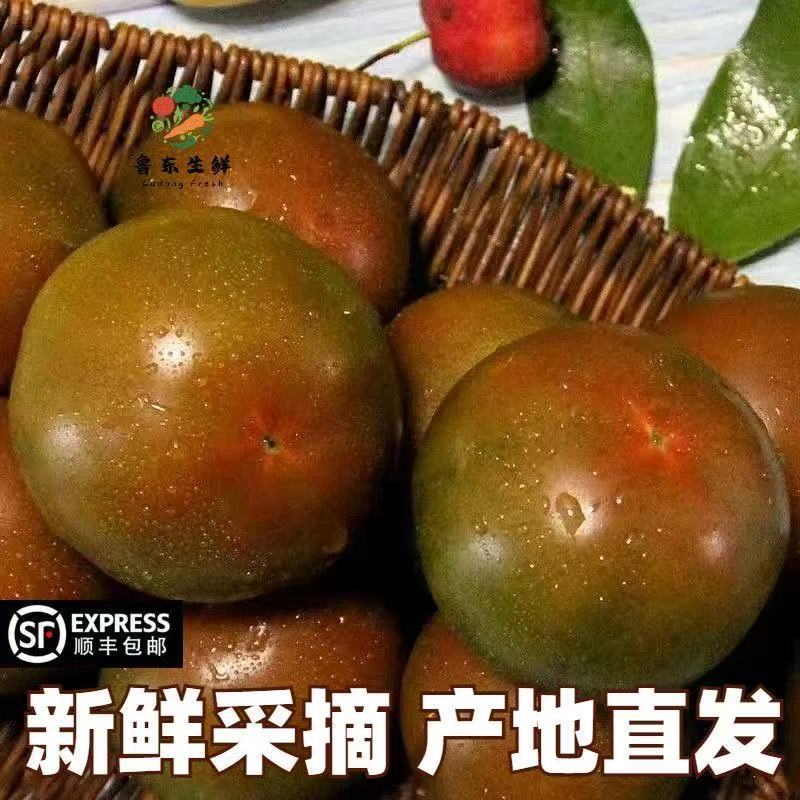 【寿光巧克力】铁皮巧克力番茄农家种植全国供应一件代发
