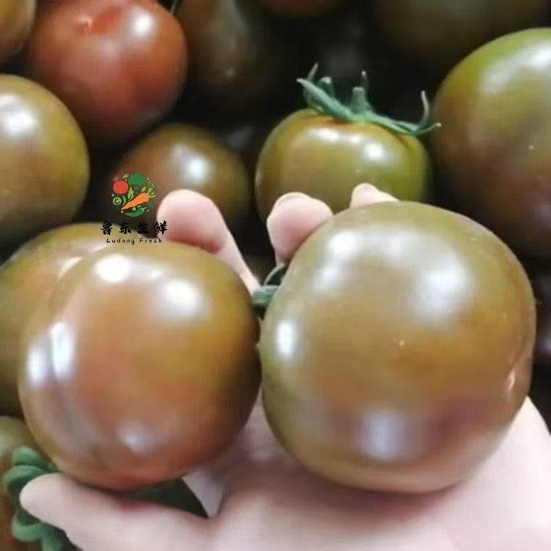 【寿光巧克力】铁皮巧克力番茄农家种植全国供应一件代发